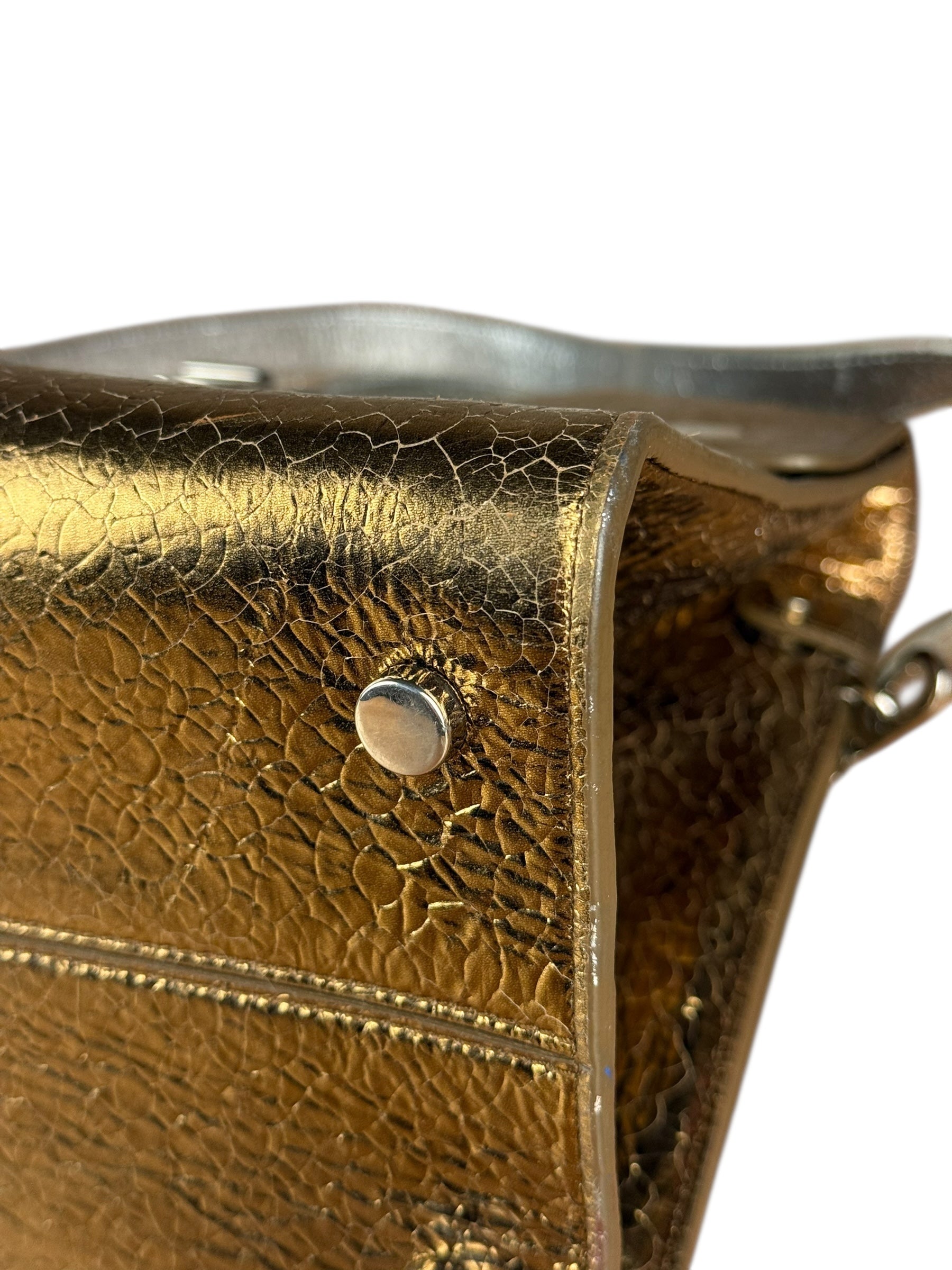 Christian Dior Diorever Gold Leather 2Way Handbag