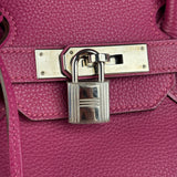 Hermes 2013 Plum Clemence Leather Palladium Birkin 35