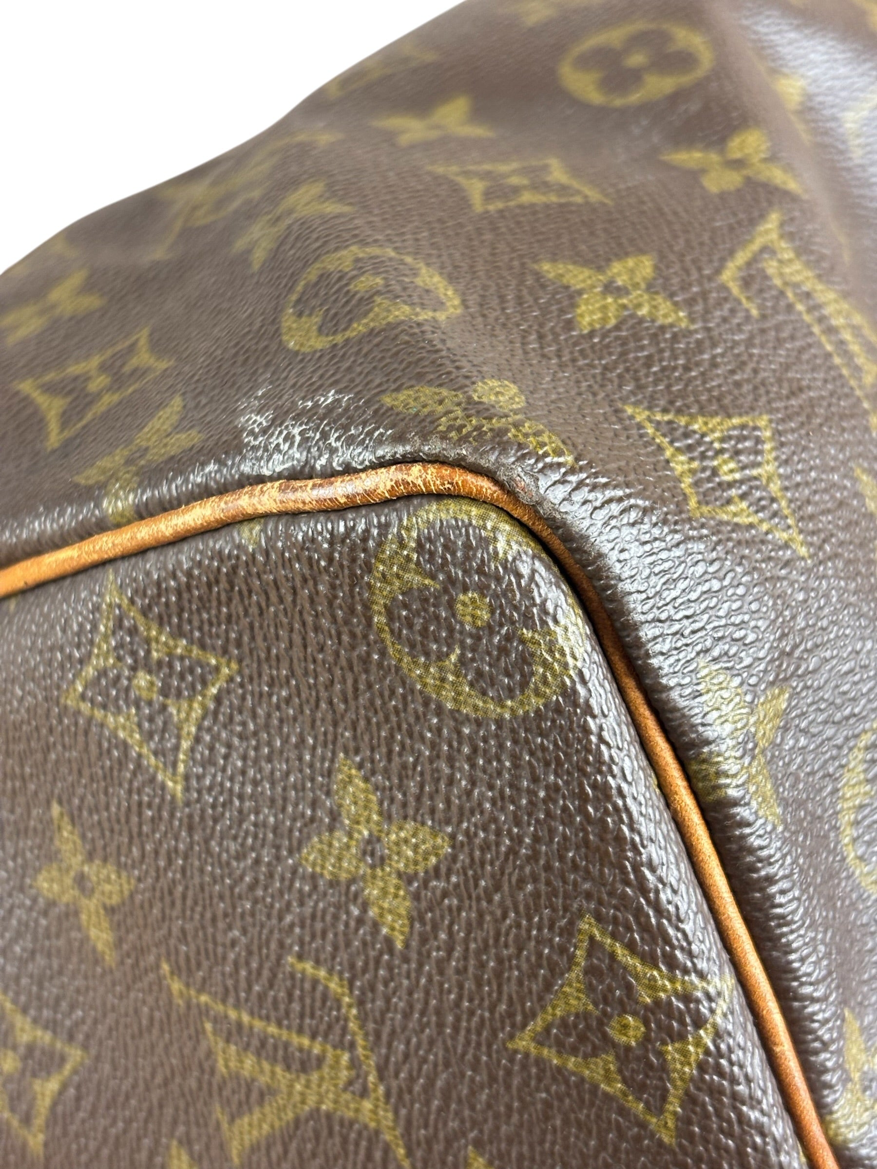 Louis Vuitton Monogram Speedy 25