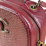 Chanel Burgundy Python Quilted Leather Vanity Two-Way Bag 2017