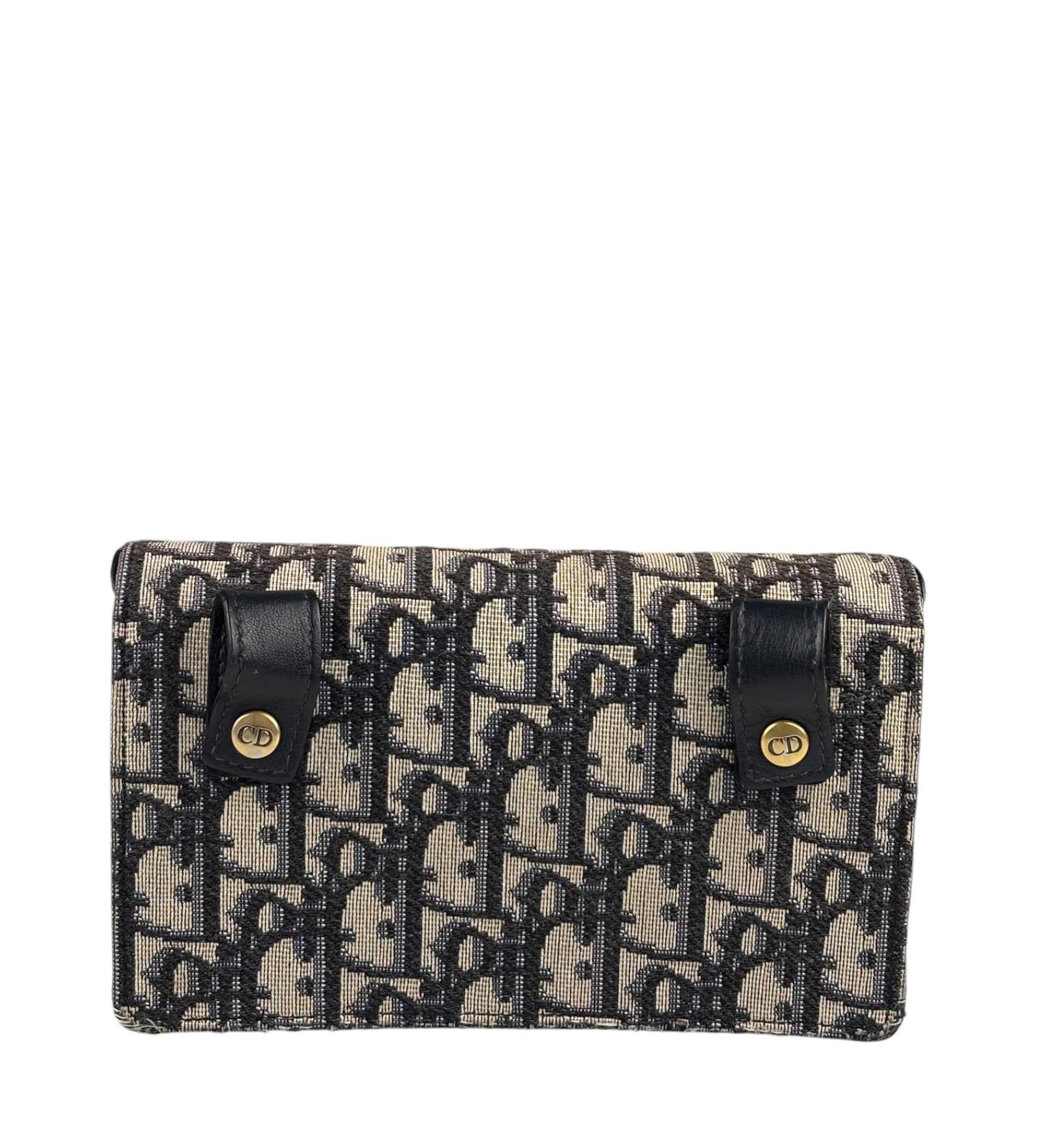 Christian Dior Oblique Trotter Saddle Bag