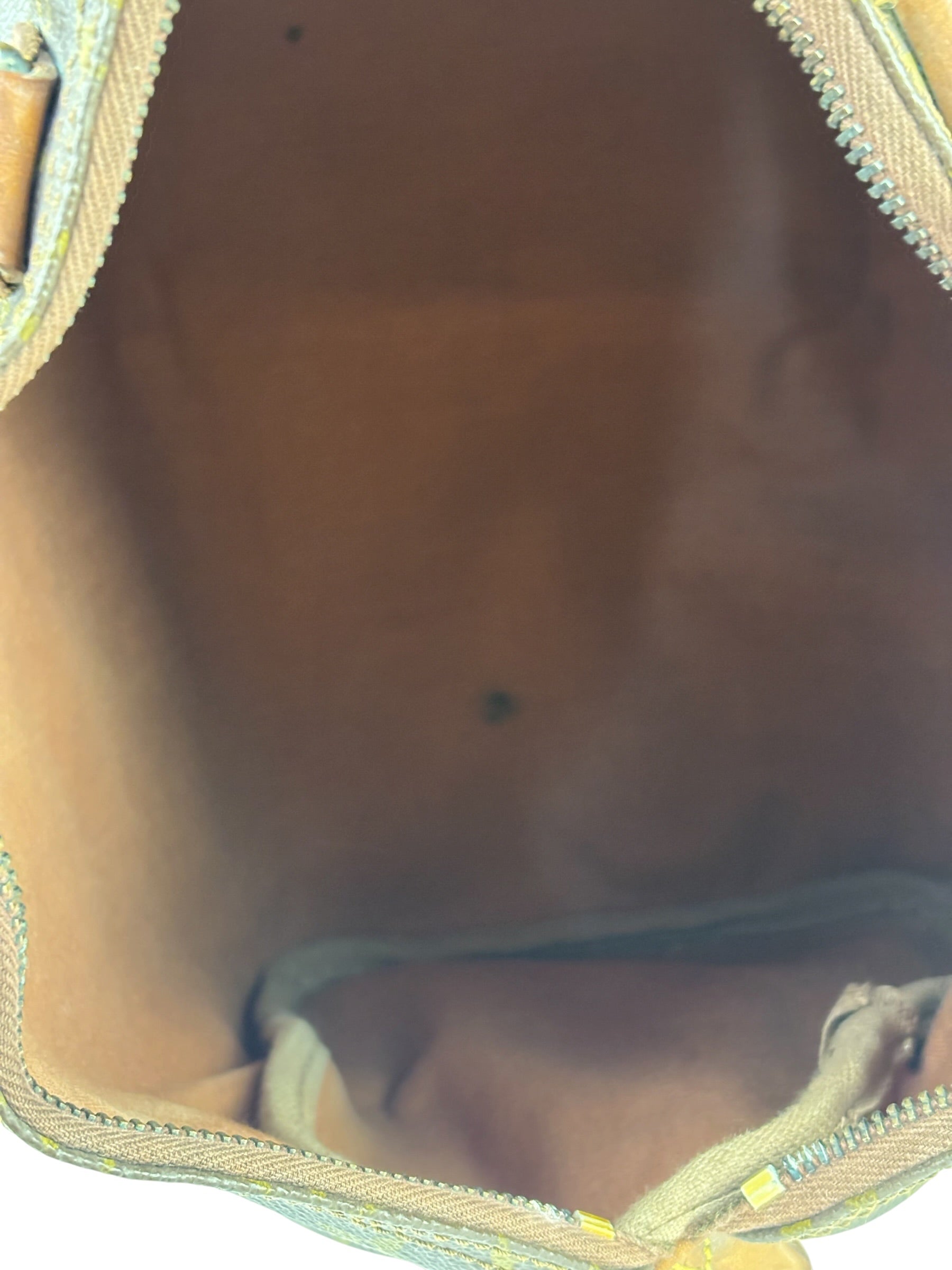 Louis Vuitton Monogram Speedy 35