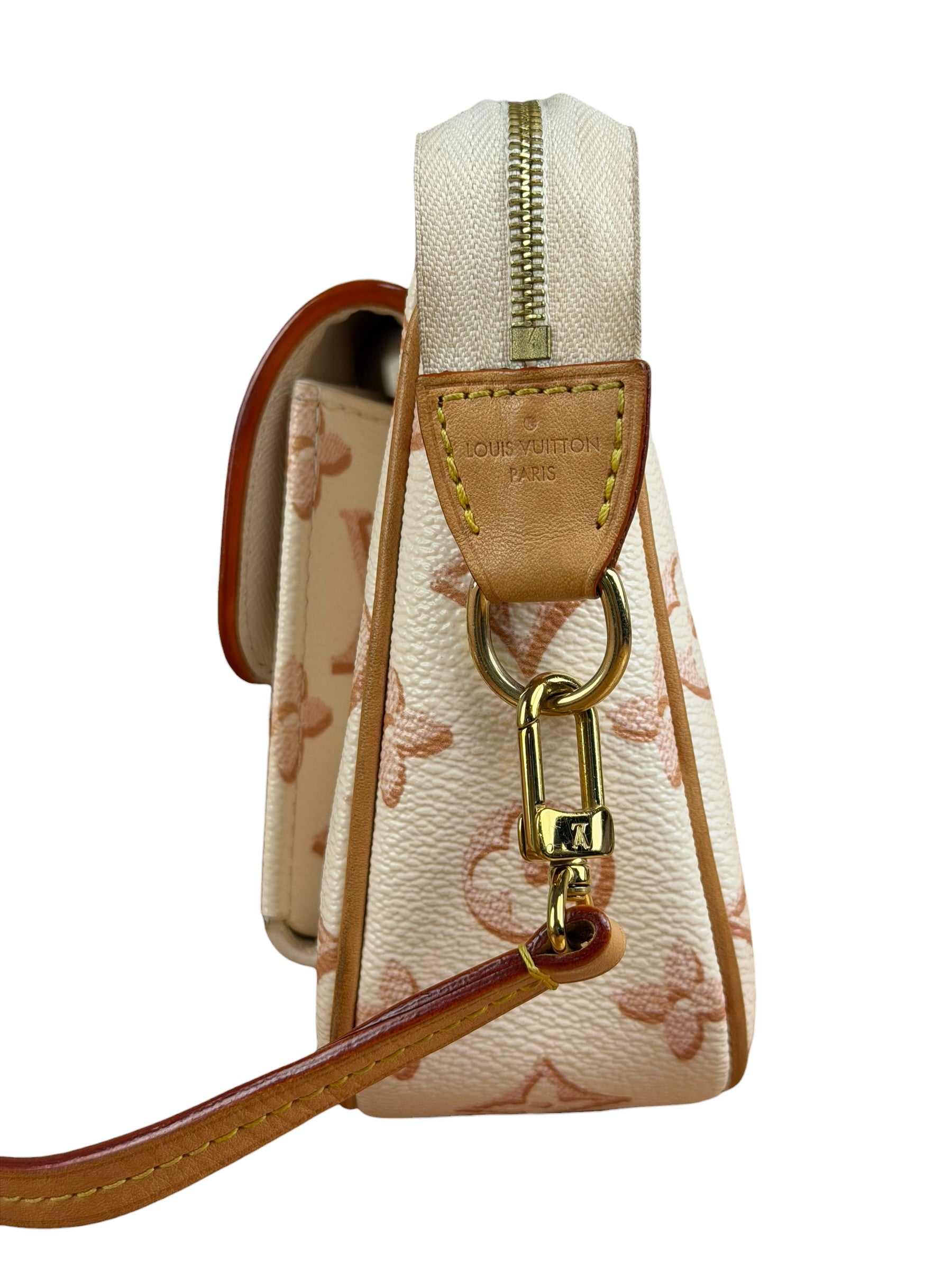 Louis Vuitton Monogram Maxi Multi Pochette
