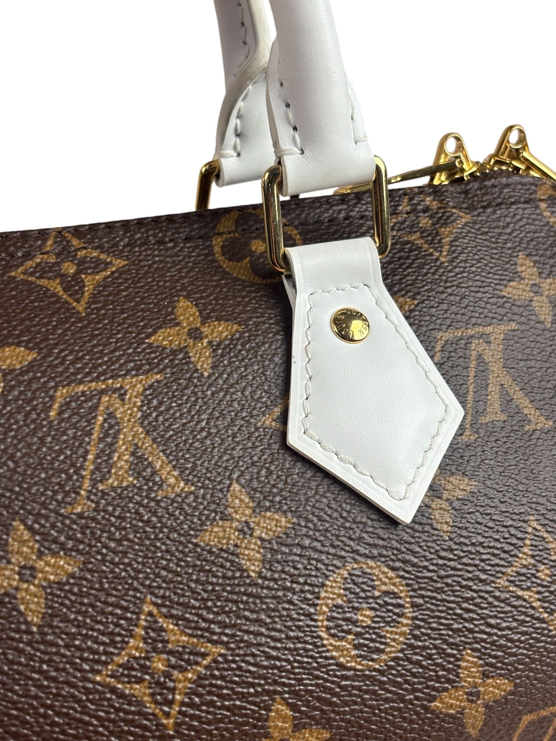 Louis Vuitton Monogram Match Bandoulière 25