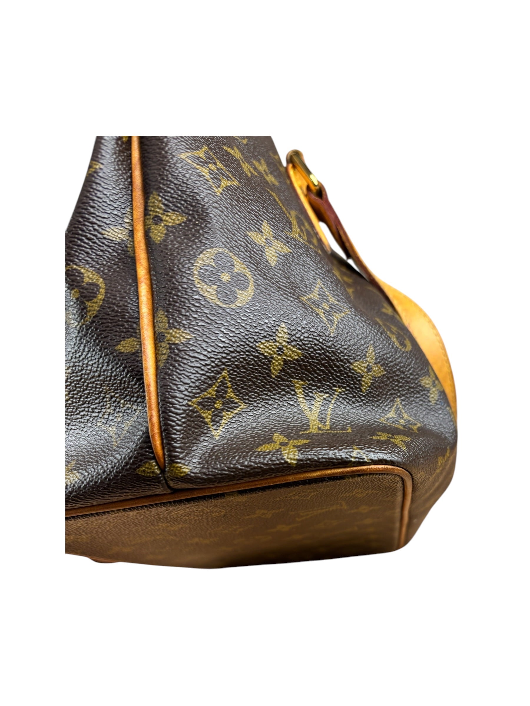 Louis Vuitton Monogram Palermo Two-Way Bag MM