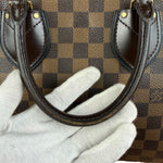 Louis Vuitton Damier Ebene Normandy 2-Way Bag