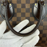 Louis Vuitton Damier Ebene Normandy 2-Way Bag