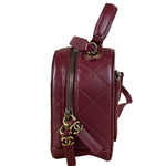 Chanel Burgundy Python Quilted Leather Vanity Two-Way Bag 2017