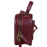 Chanel Burgundy Python Quilted Leather Vanity Two-Way Bag 2017