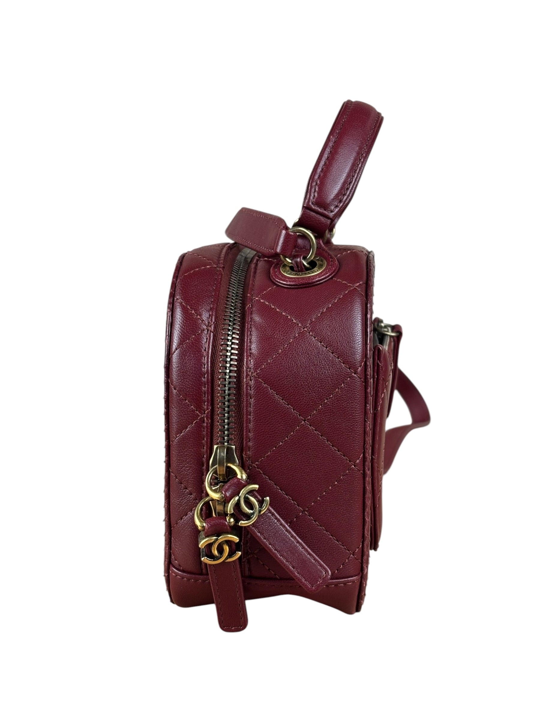 Chanel Burgundy Python Quilted Leather Vanity Two-Way Bag 2017