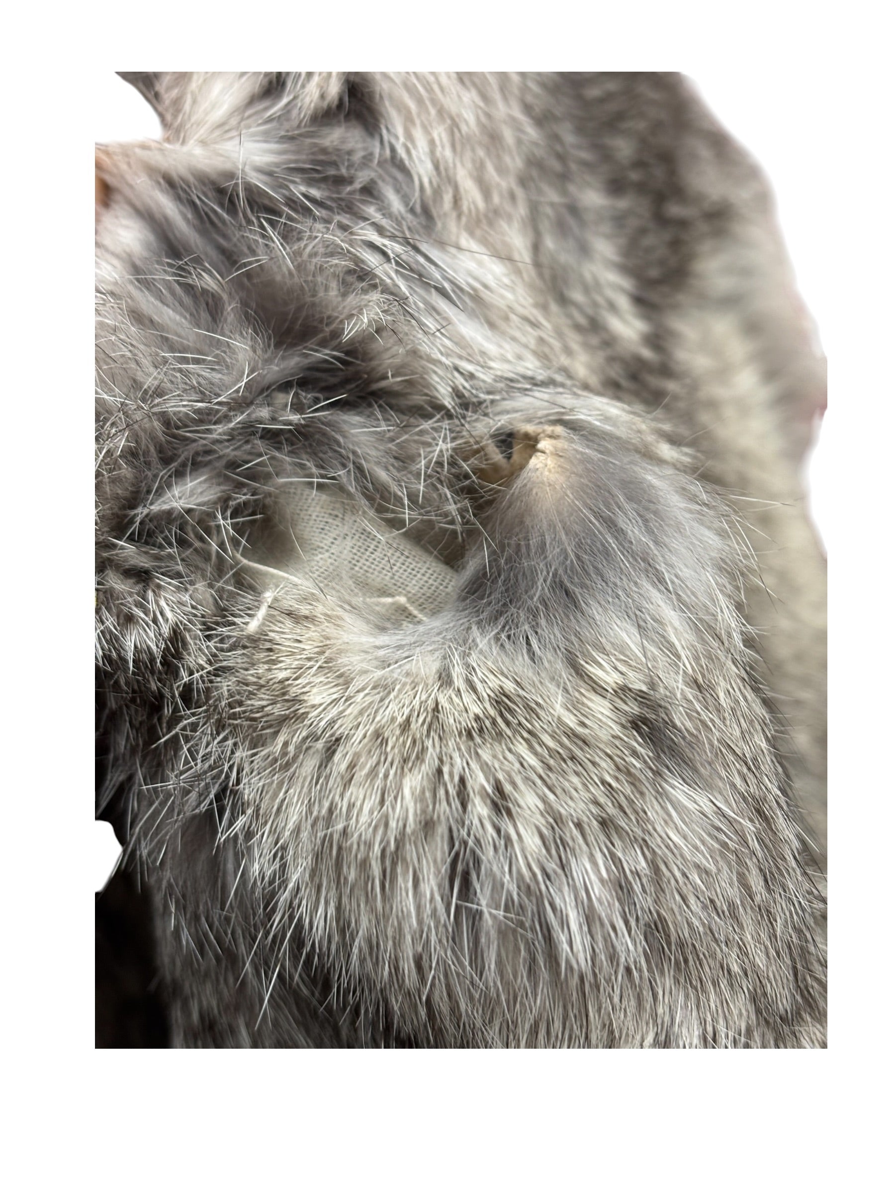 Vintage Grey Fox Fur Coat