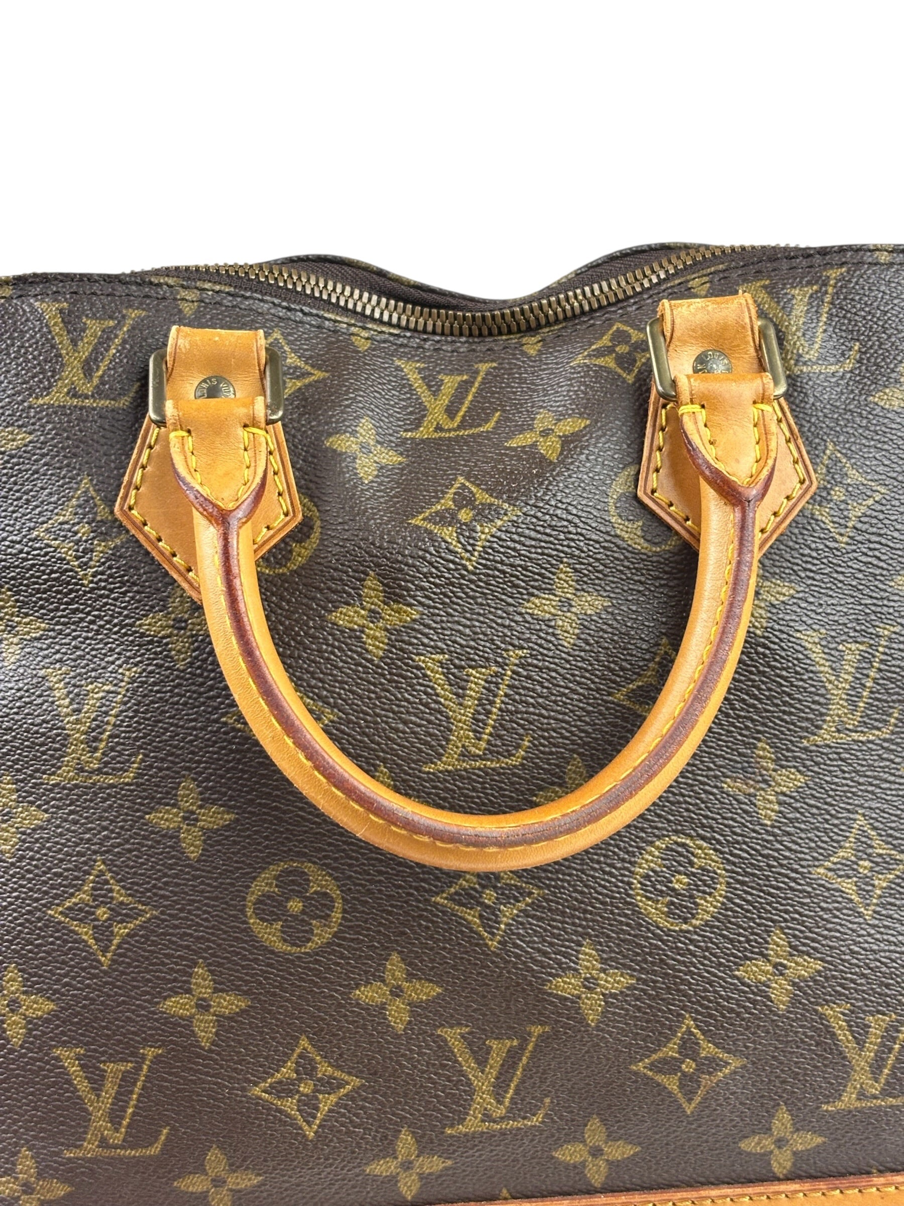 Louis Vuitton Monogram Alma MM