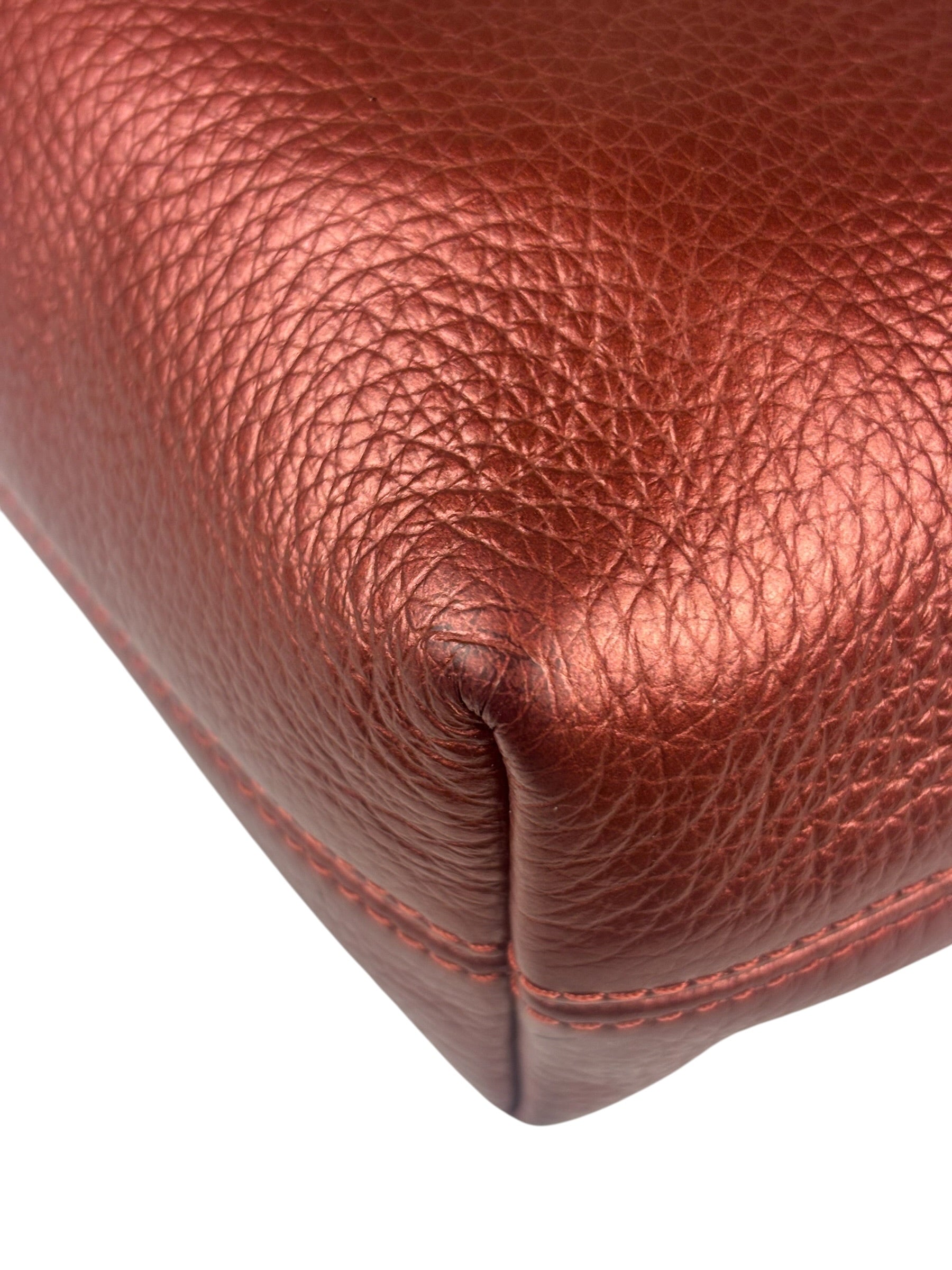 Coach Metallic Currant Leather Charley Crossbody