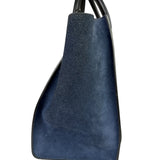 Celine Calfskin Leather/Suede Tri-Color Luggage Tote Bag
