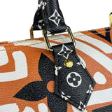 Louis Vuitton Multicolor Crafty Speedy Bandouliere 25