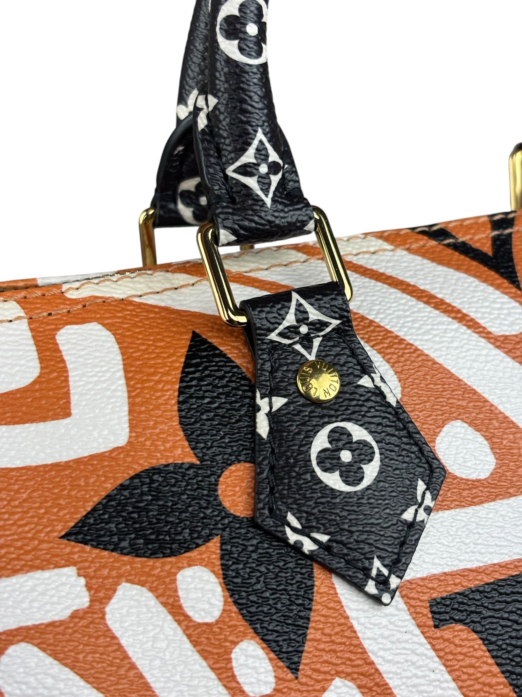 Louis Vuitton Multicolor Crafty Speedy Bandouliere 25