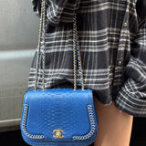 Chanel Braided Chic Python Flap Bag 2017