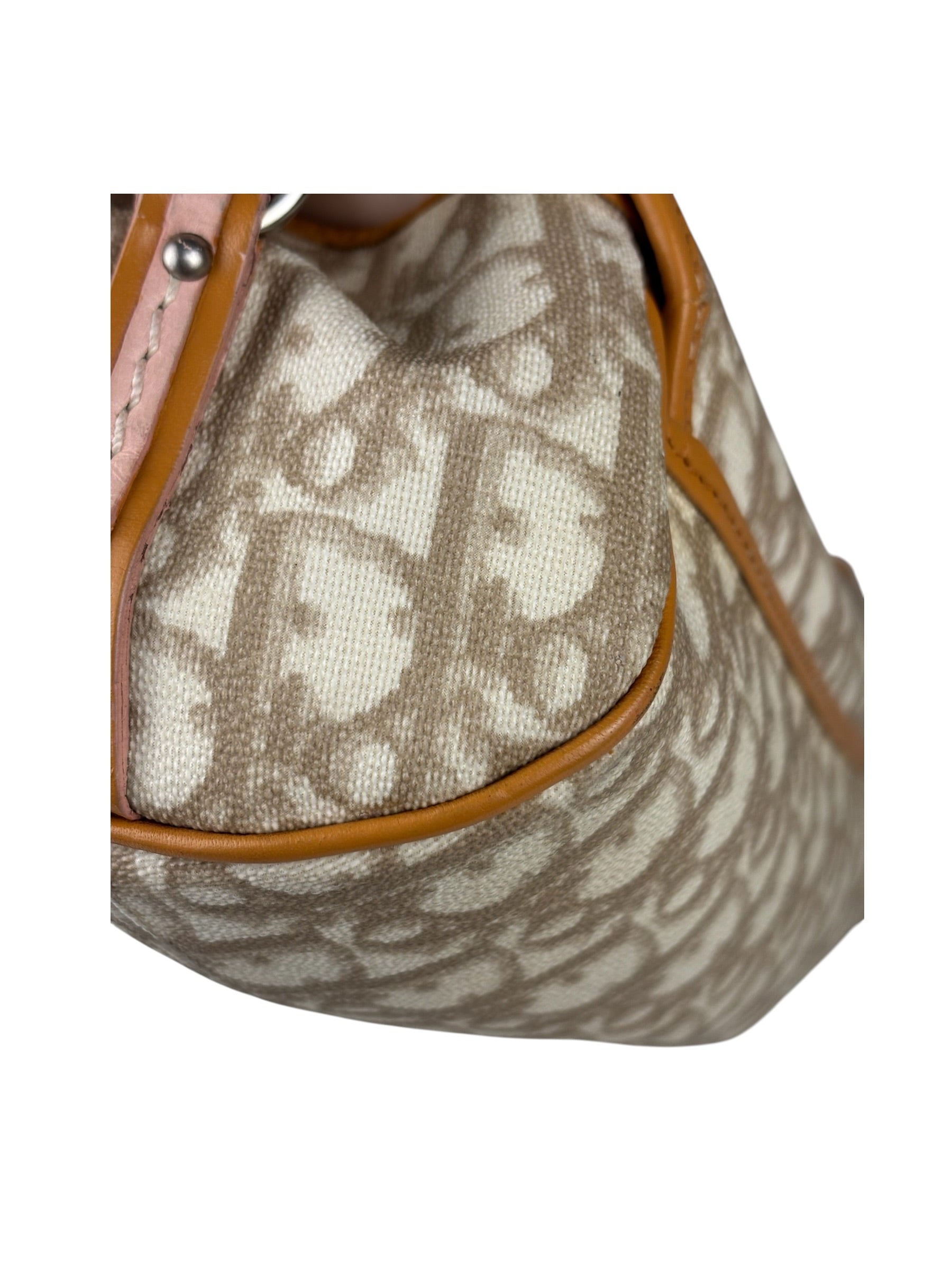 Christian Dior Leather Trotter Romantique Flap Shoulder Bag