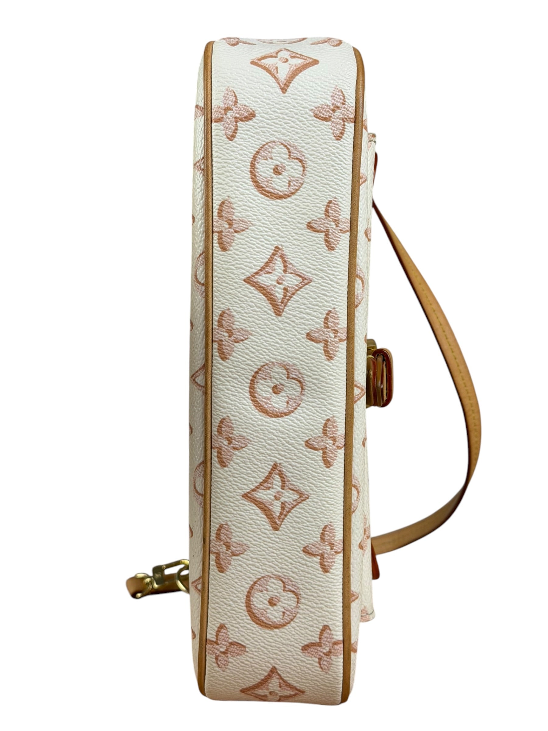 Louis Vuitton Monogram Maxi Multi Pochette