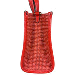 Coach Raffia Mini Tote Crossbody Bag