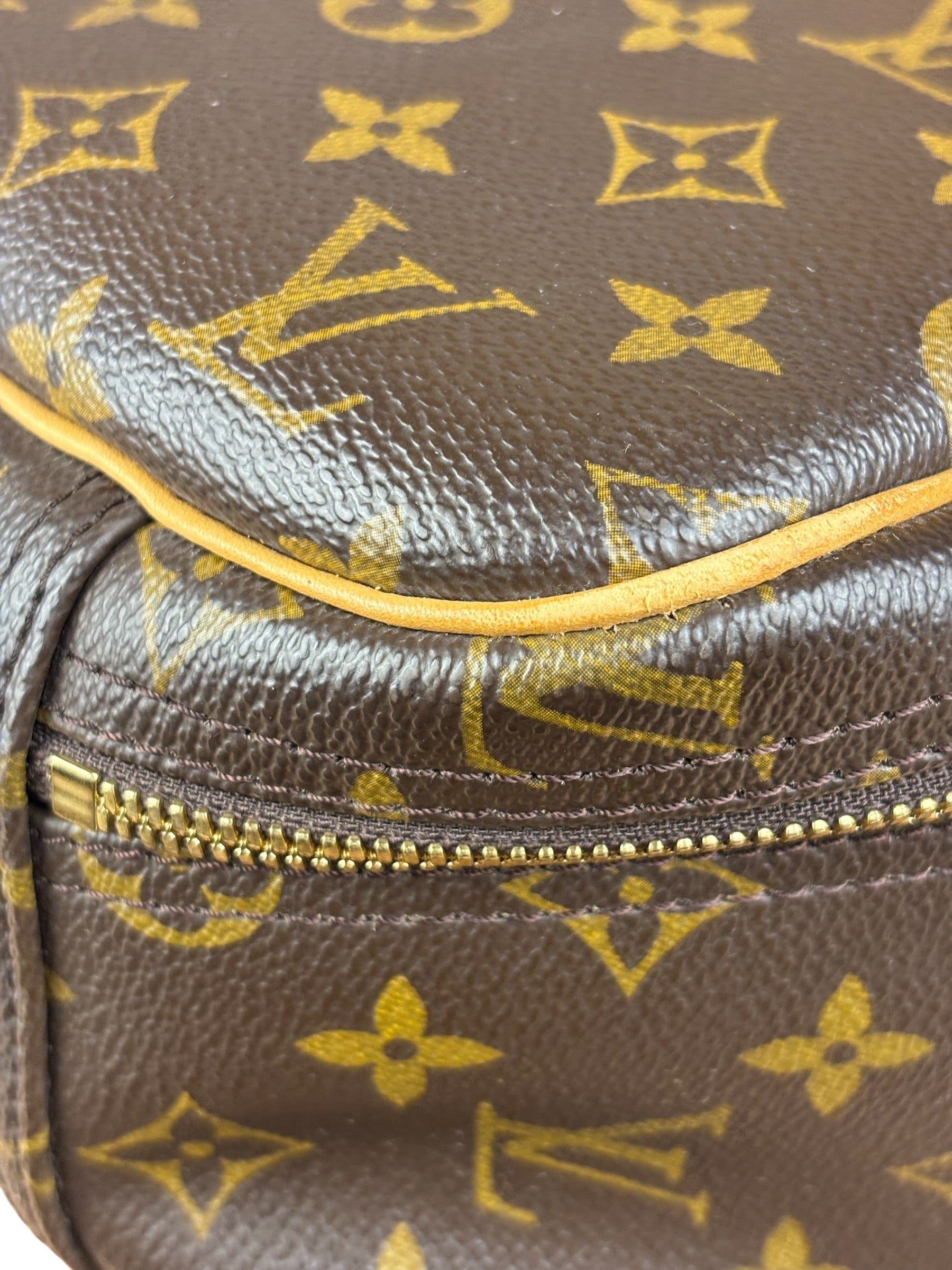 Louis Vuitton Monogram Excursion Top-Handle Bag