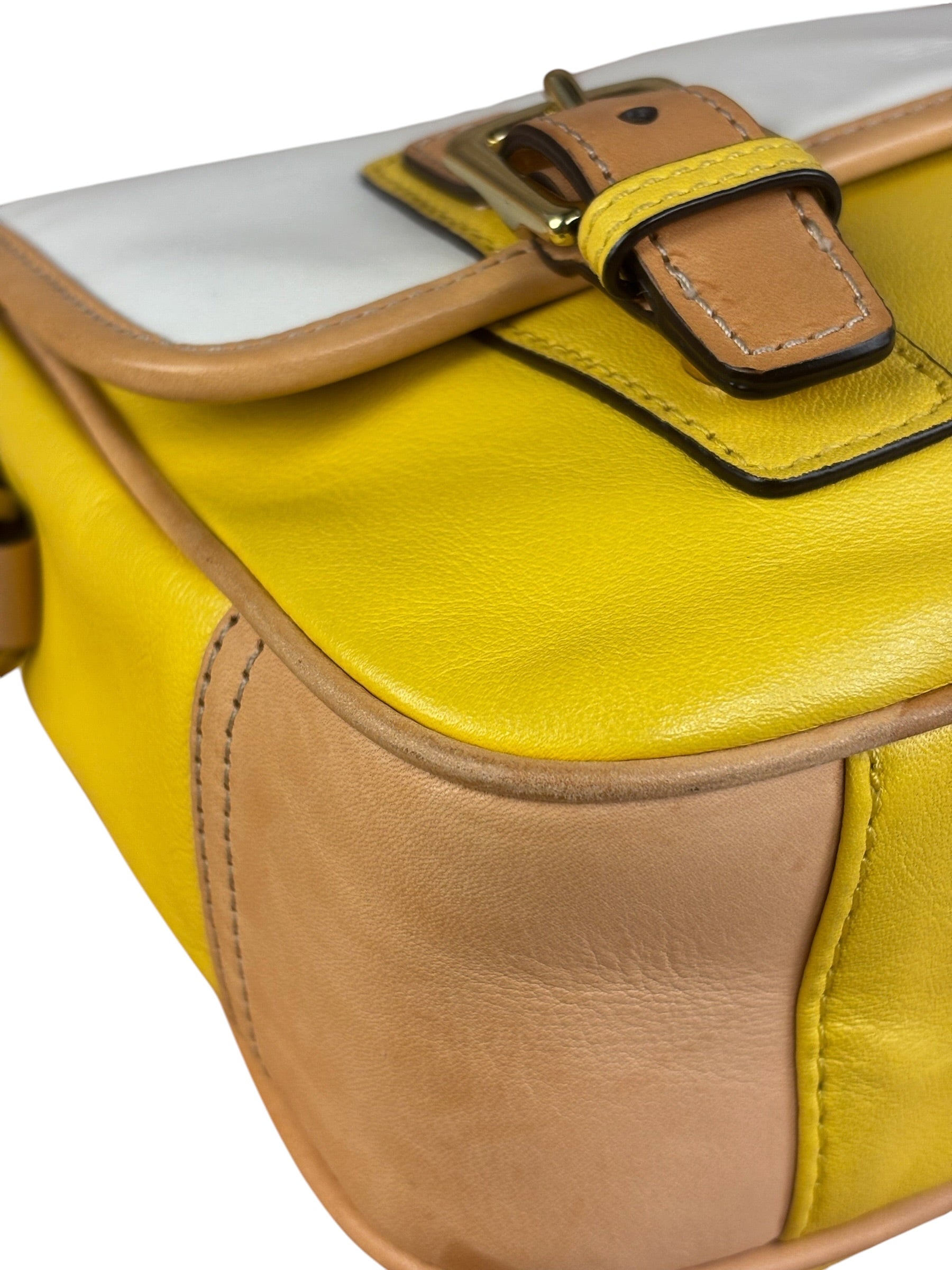 Coach Park Tricolor Leather Flap Crossbody Bag