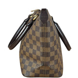 Louis Vuitton Damier Ebene Saleya Tote Bag