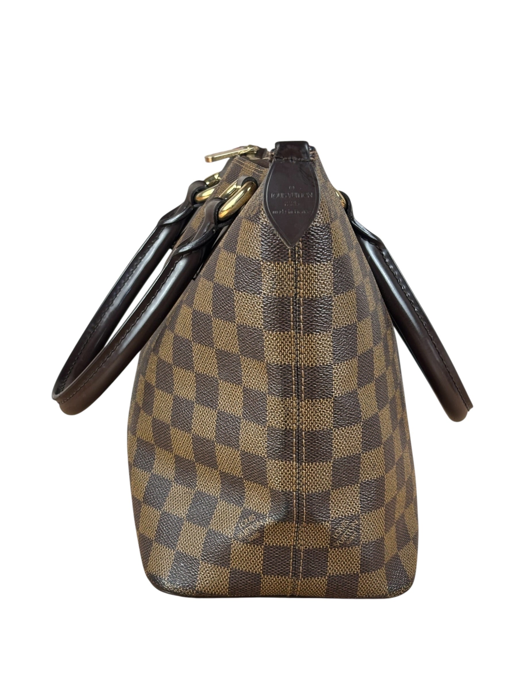 Louis Vuitton Damier Ebene Saleya Tote Bag