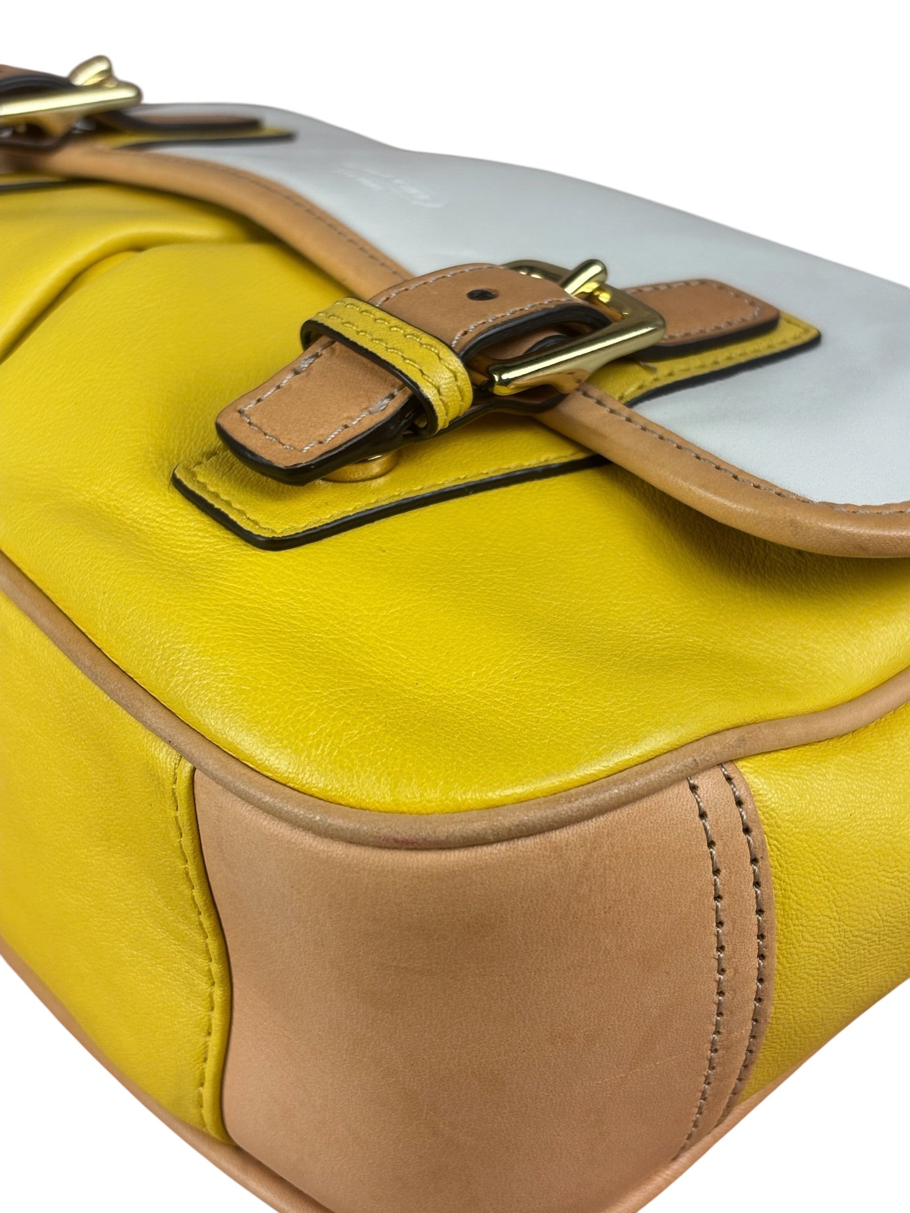 Coach Park Tricolor Leather Flap Crossbody Bag