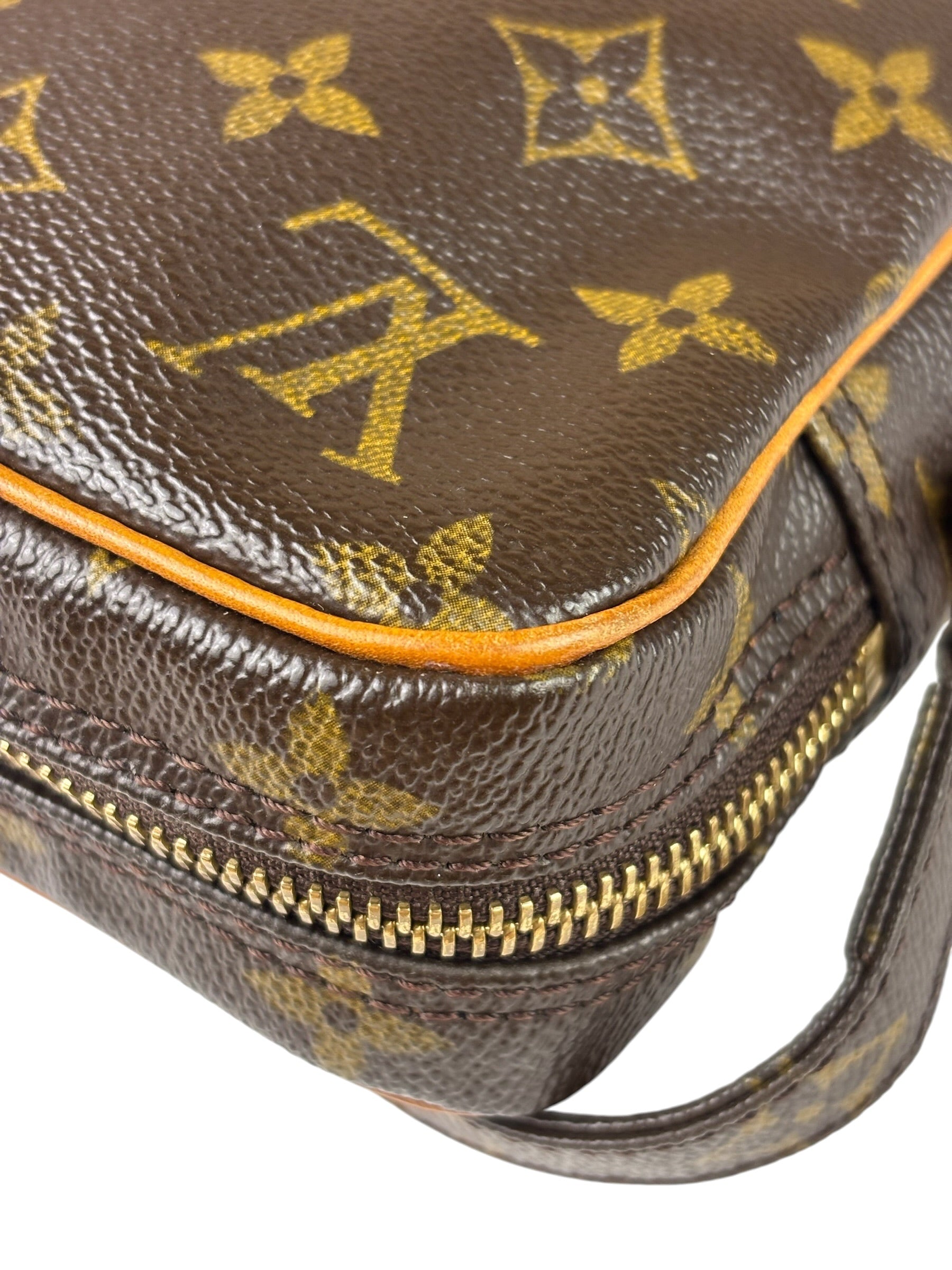 Louis Vuitton Monogram Danube Crossbody Bag