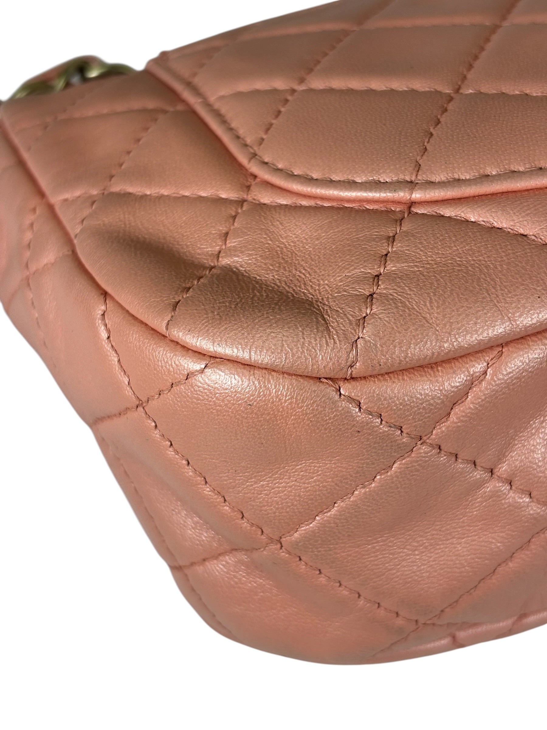 Chanel Pink Quilted Lambskin Precious Jewel Flap Bag 2010