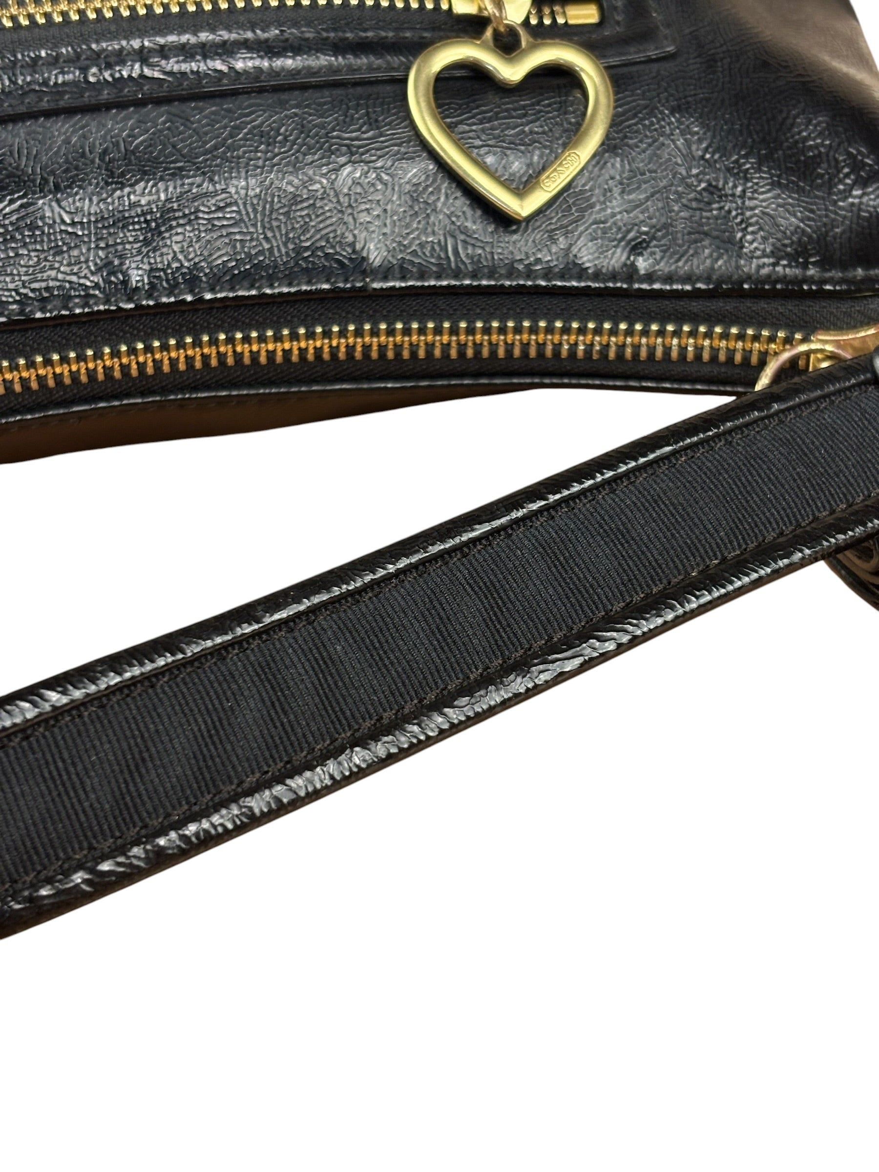 Coach Black Poppy Liquid Gloss Leather Storypatch Hobo Bag
