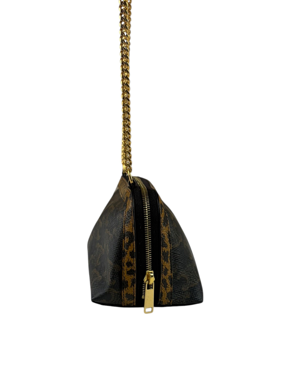 Celine Leopard Print-Trimmed Triomphe Chain Bag