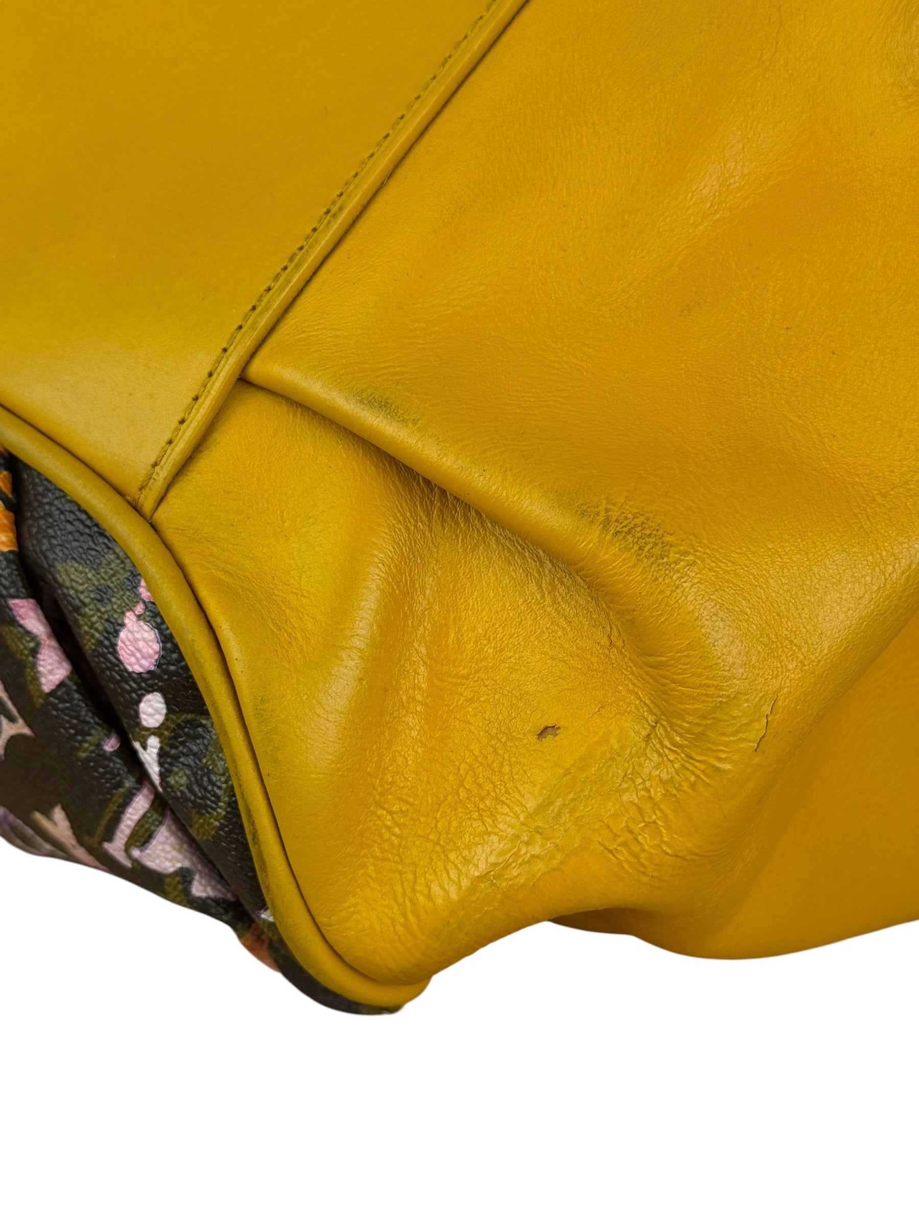 Louis Vuitton x Richard Prince Watercolor Jamais Shoulder Bag