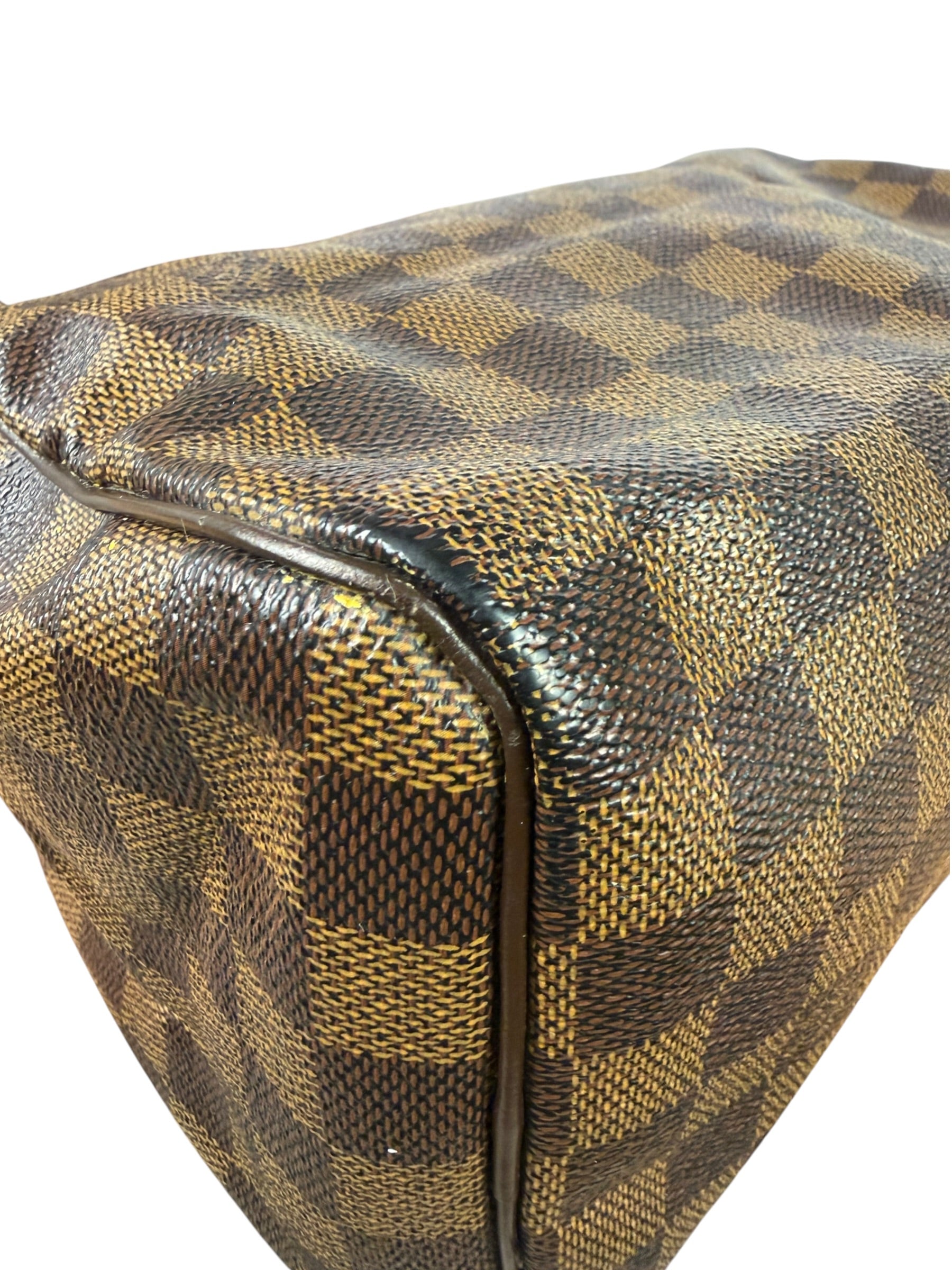 Louis Vuitton Damier Ebene Speedy 25