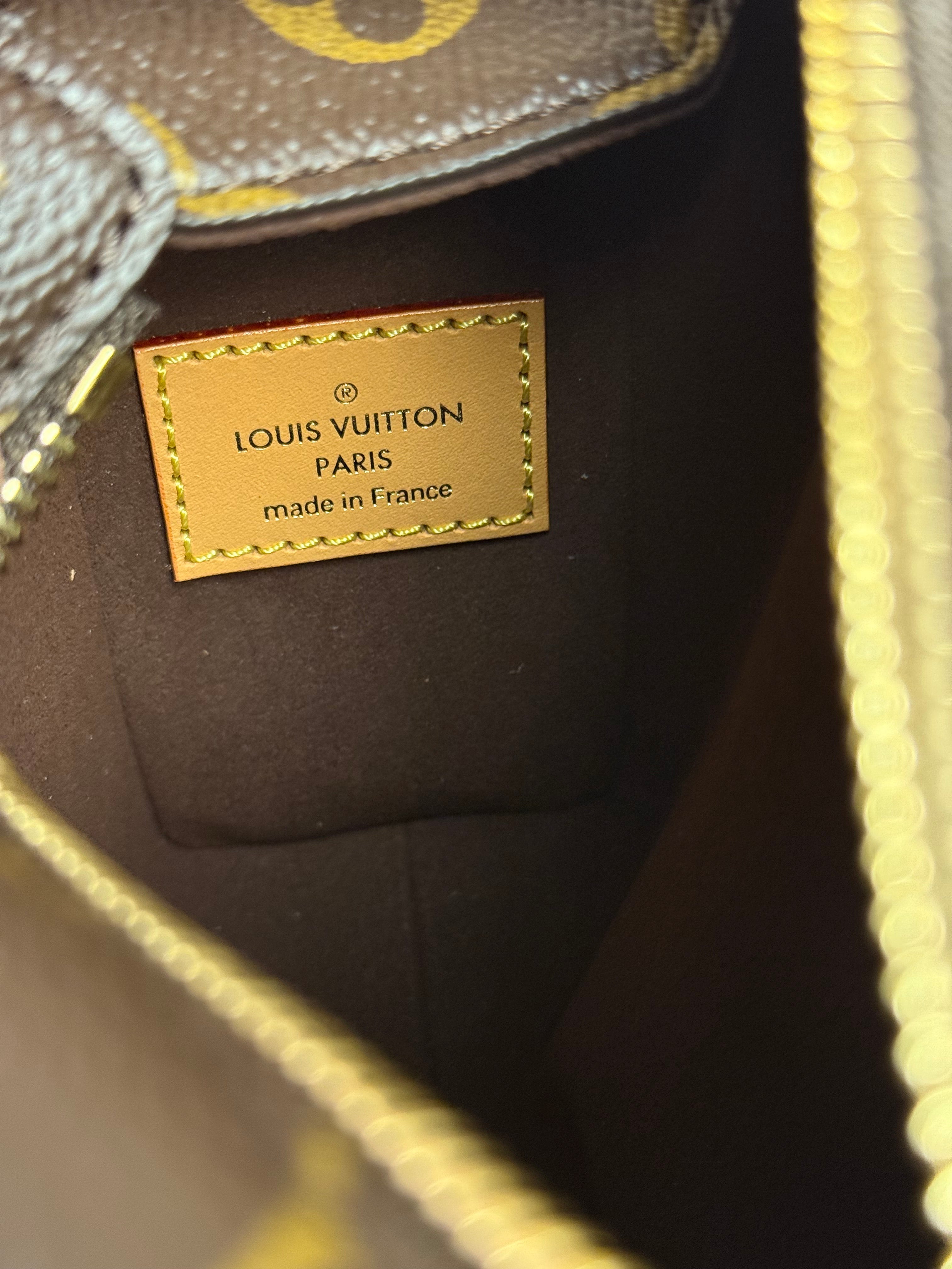 Louis Vuitton Monogram Trunk Side Bag