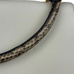 Celine Trapeze Leather 2Way Python Handle Handbag
