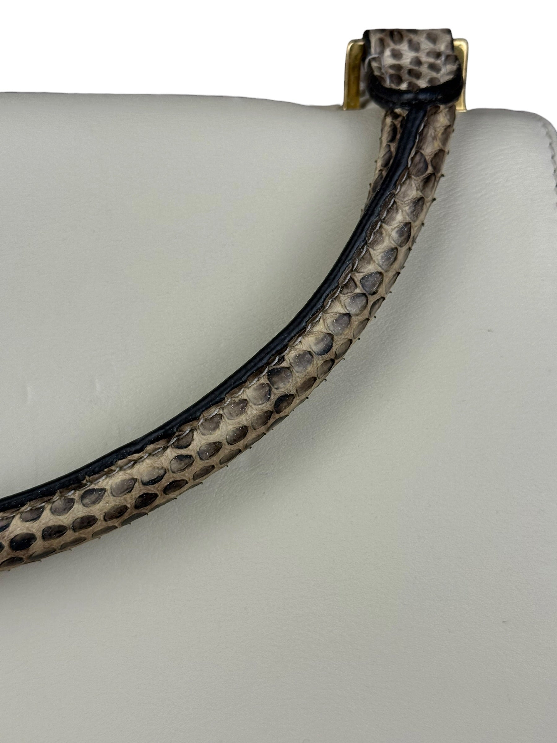 Celine Trapeze Leather 2Way Python Handle Handbag