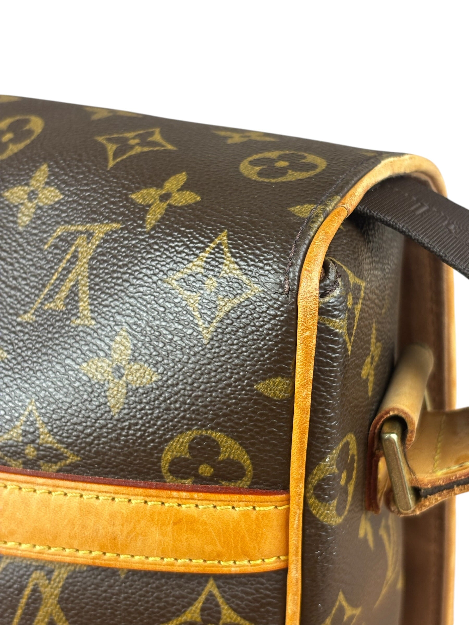 Louis Vuitton Monogram Messenger Bag