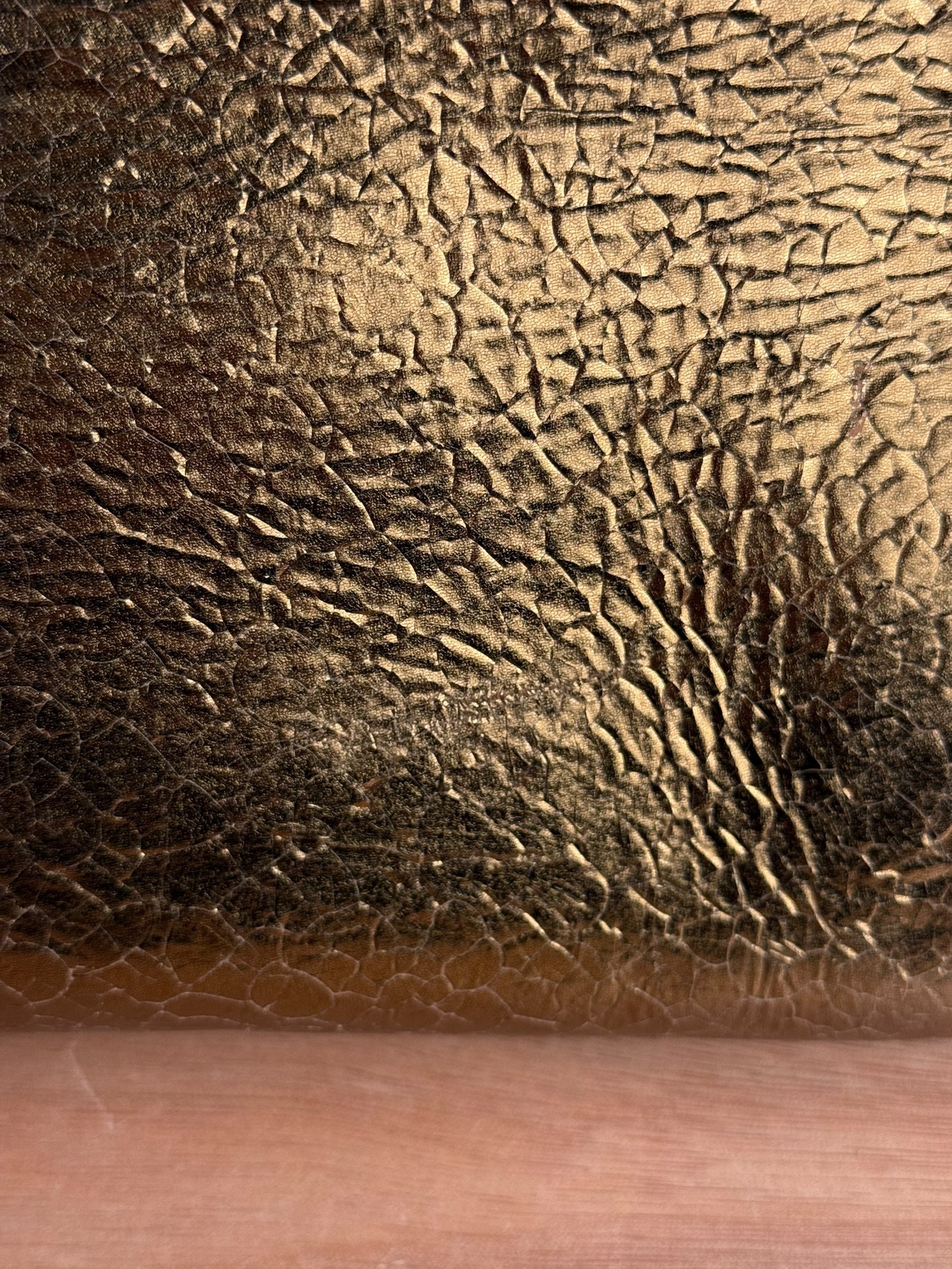 Christian Dior Diorever Gold Leather 2Way Handbag