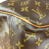 Louis Vuitton Monogram Alize Two Pouch Travel Bag