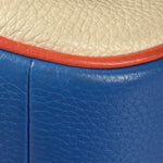 Coach Colorblock Leather Teri Pochette/Crossbody Bag