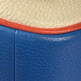 Coach Colorblock Leather Teri Pochette/Crossbody Bag
