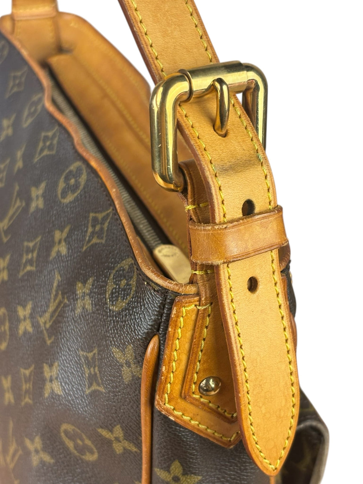Louis Vuitton Monogram Hudson MM