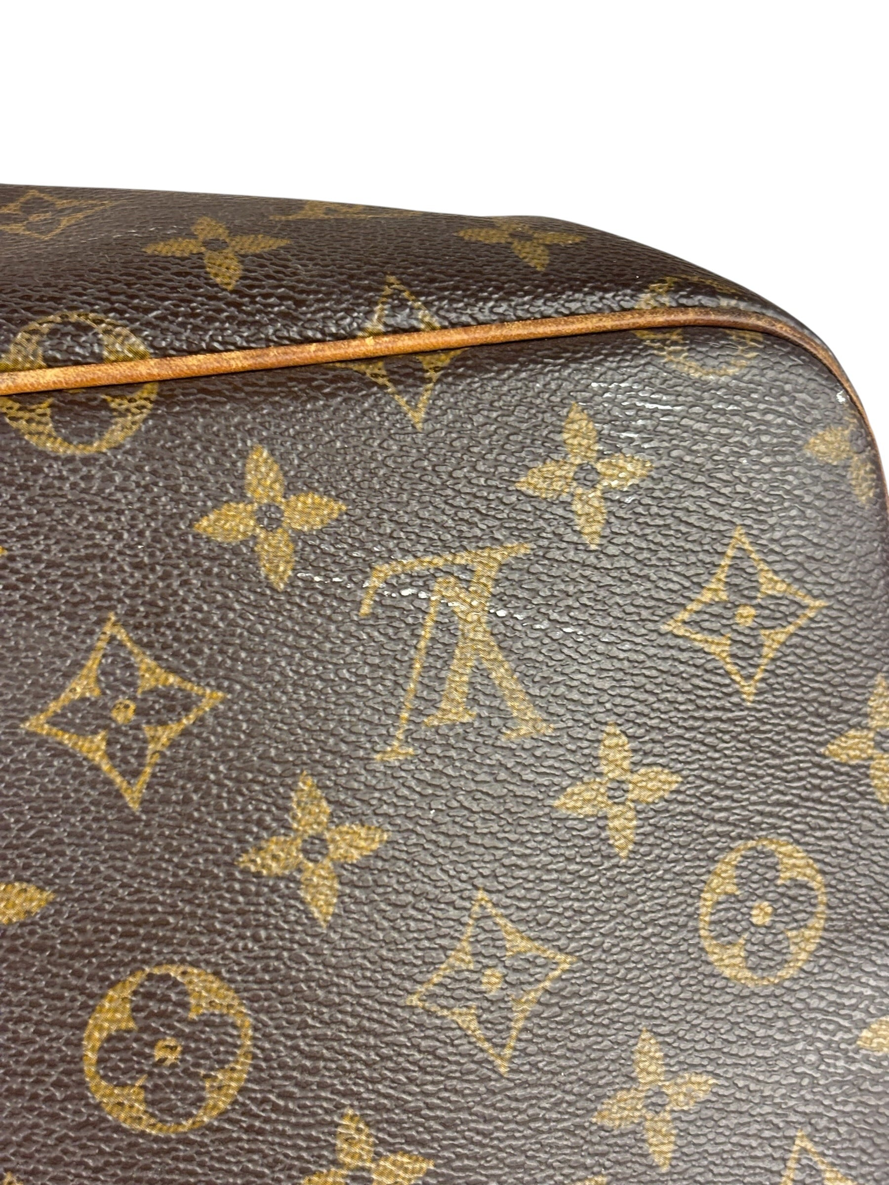 Louis Vuitton Monogram Palermo Two-Way Bag PM