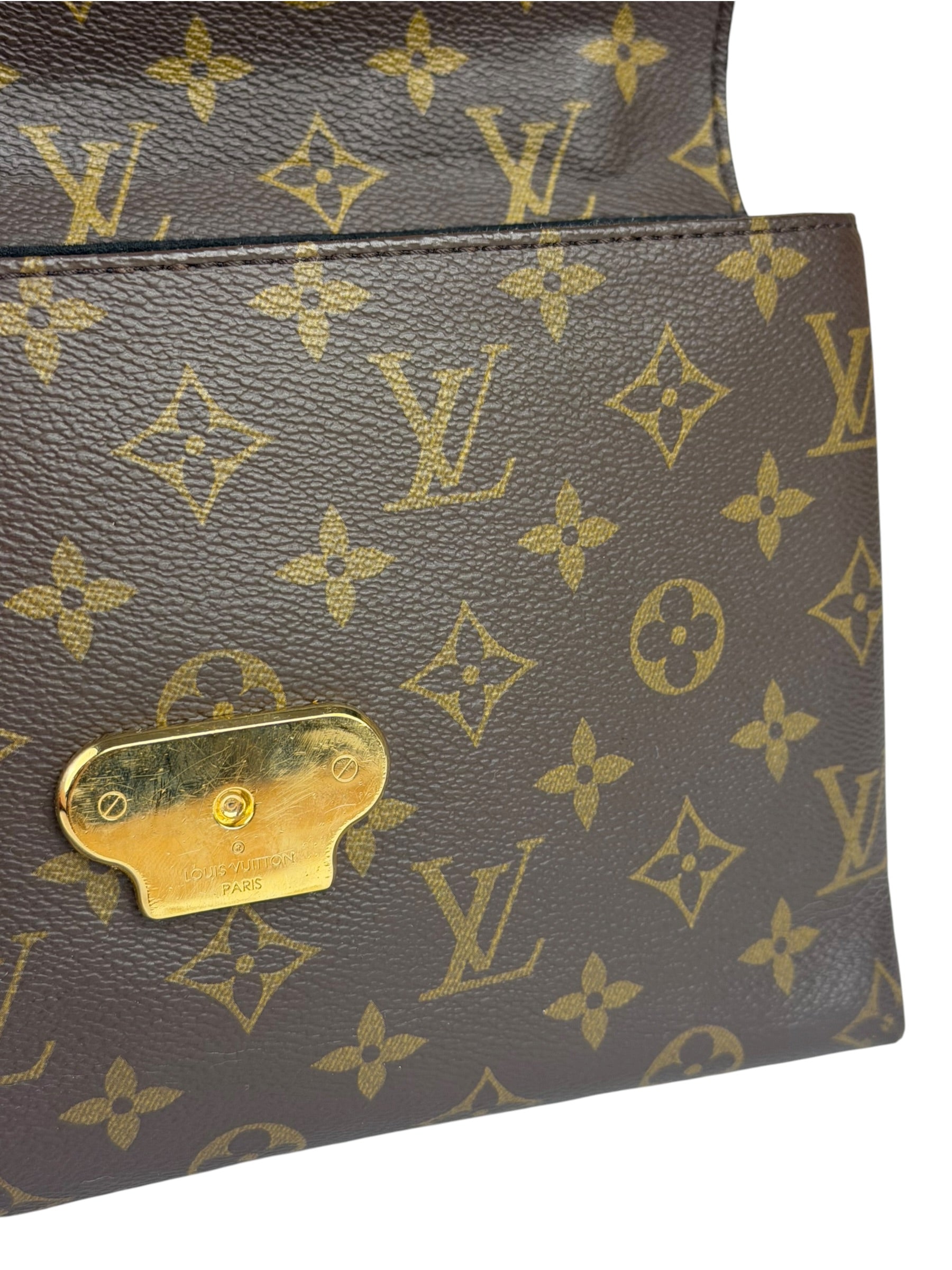 Louis Vuitton Colorblock Monogram Saint Placide Shoulder Bag