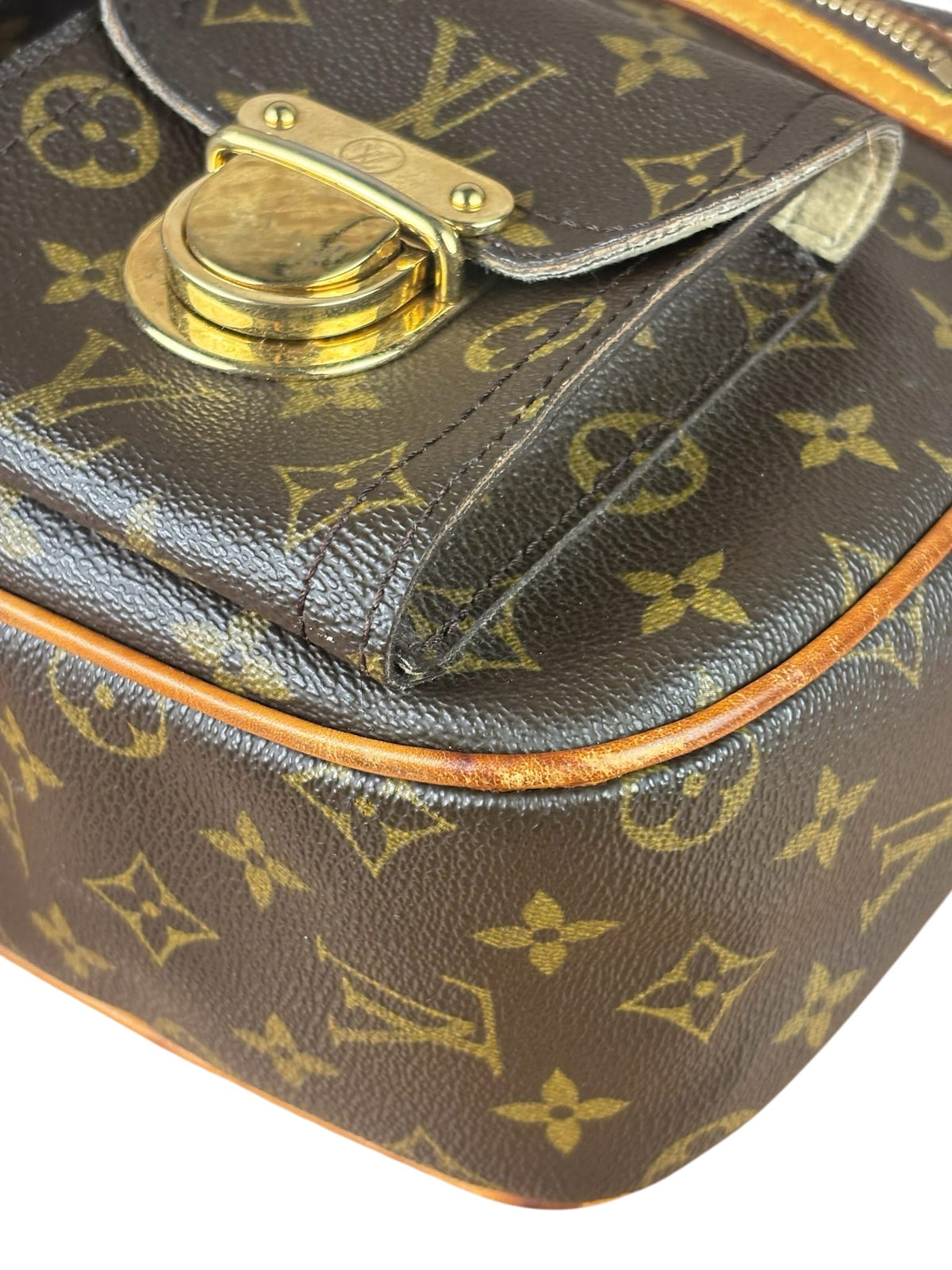 Louis Vuitton Monogram Hudson MM