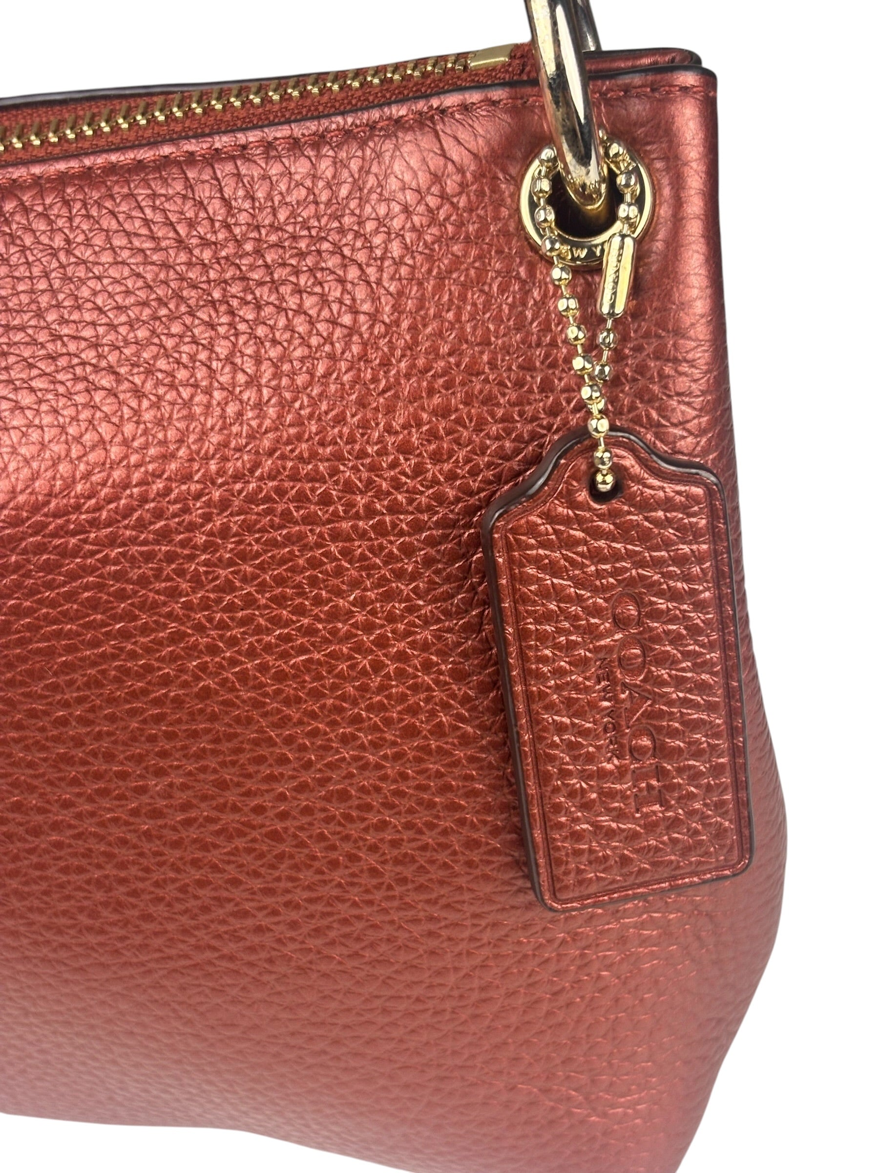 Coach Metallic Currant Leather Charley Crossbody