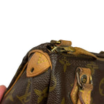 Louis Vuitton Monogram Nano Speedy Bag