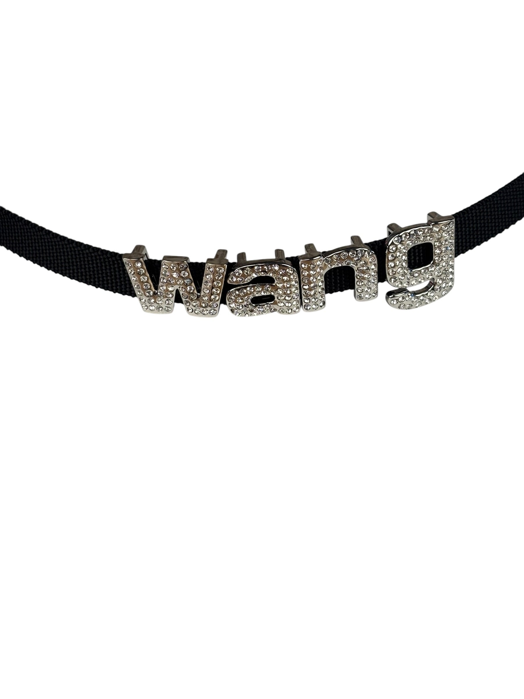 Alexander Wang Silver Satin Heiress Pouch